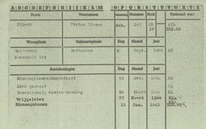 kaashoekgenealogie.nl